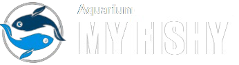 Myfishy Logo